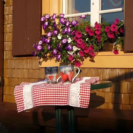 Reesbauernhof - Abendrot Hofsgrund