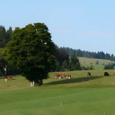 Reesbauernhof - Abendrot 오베리드