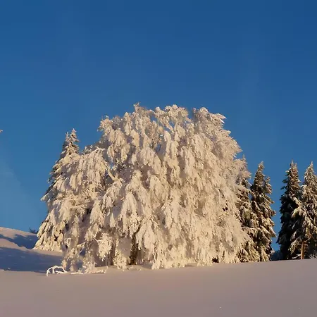 Apartamento Reesbauernhof - Abendrot Hofsgrund