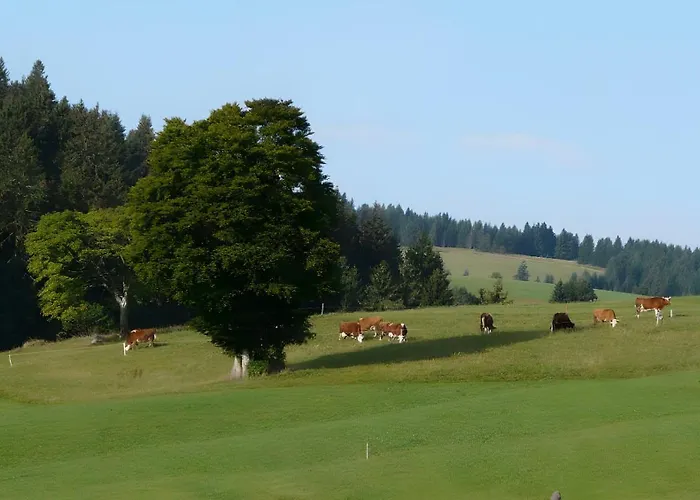 Reesbauernhof - Abendrot Oberried (Breisgau)